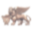 威尼斯人